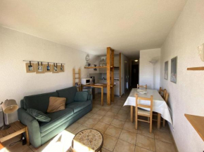 Résidence Plein Sud 2 - Studio Centre Station au pied-des-pistes MAE-5251